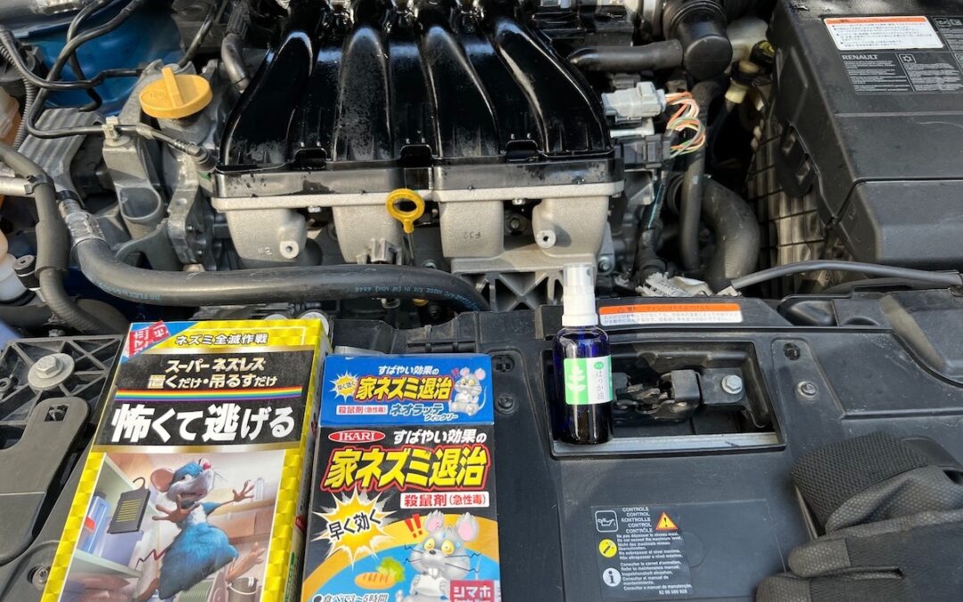 2023.4.1 メガーヌ号 – 新たなチャレンジに苦慮！