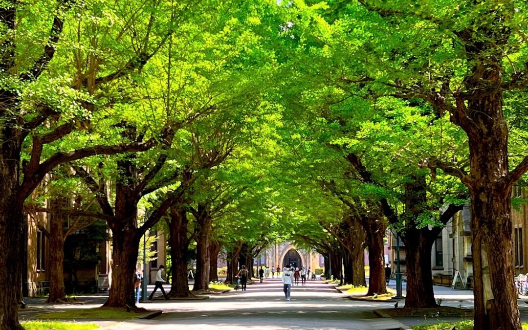 2023.4.25 千駄木＆根津界隈散策