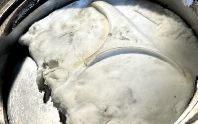 2025.11.16 公道復帰10年、経年劣化修復プロジェクト (145) _バルブ_ピストン_クリアランス確認